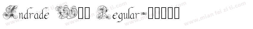 Andrade W01 Regular字体转换